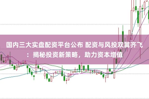 国内三大实盘配资平台公布 配资与风投双翼齐飞：揭秘投资新策略，助力资本增值