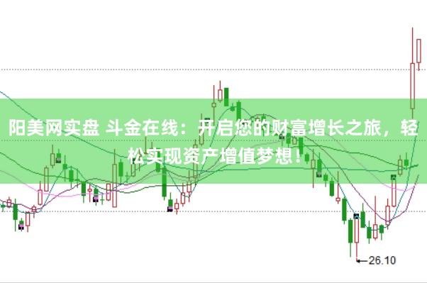 阳美网实盘 斗金在线：开启您的财富增长之旅，轻松实现资产增值梦想！
