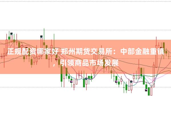 正规配资哪家好 郑州期货交易所：中部金融重镇，引领商品市场发展