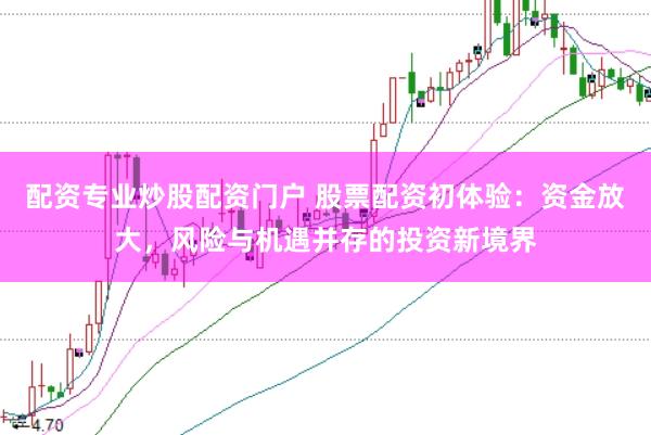 配资专业炒股配资门户 股票配资初体验：资金放大，风险与机遇并存的投资新境界