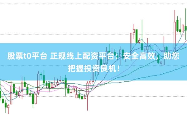 股票t0平台 正规线上配资平台：安全高效，助您把握投资良机！