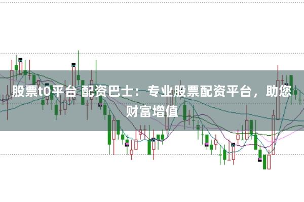 股票t0平台 配资巴士：专业股票配资平台，助您财富增值