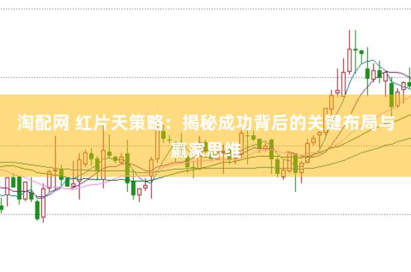 淘配网 红片天策略：揭秘成功背后的关键布局与赢家思维