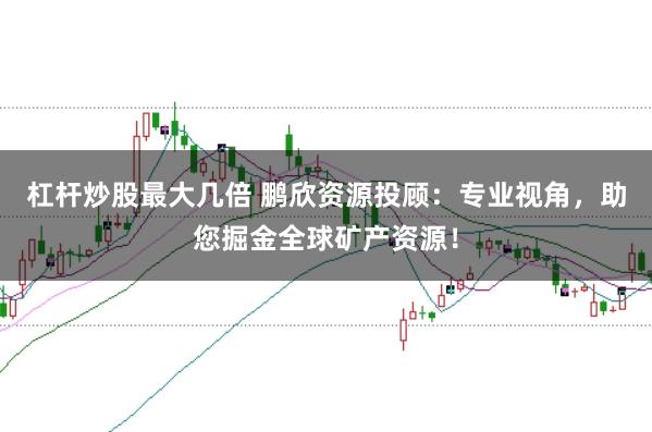 杠杆炒股最大几倍 鹏欣资源投顾：专业视角，助您掘金全球矿产资源！