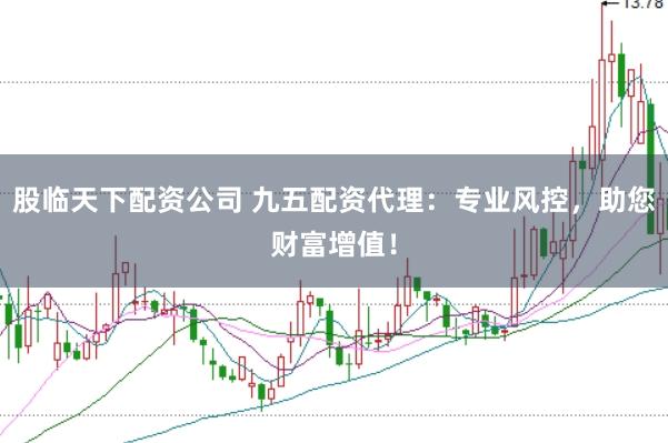 股临天下配资公司 九五配资代理：专业风控，助您财富增值！