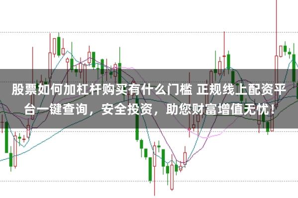 股票如何加杠杆购买有什么门槛 正规线上配资平台一键查询，安全投资，助您财富增值无忧！