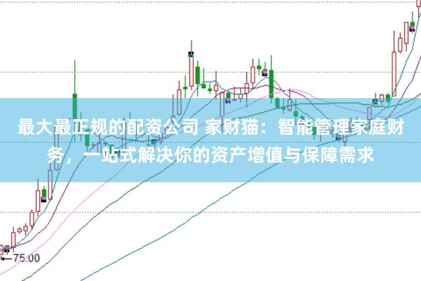 最大最正规的配资公司 家财猫：智能管理家庭财务，一站式解决你的资产增值与保障需求