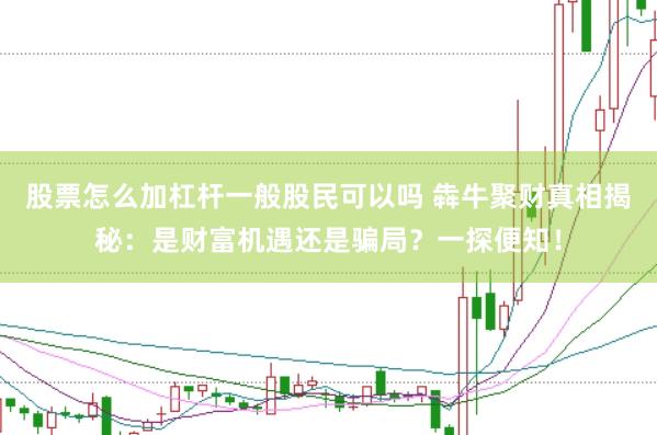 股票怎么加杠杆一般股民可以吗 犇牛聚财真相揭秘：是财富机遇还是骗局？一探便知！