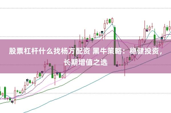 股票杠杆什么找杨方配资 黑牛策略：稳健投资，长期增值之选