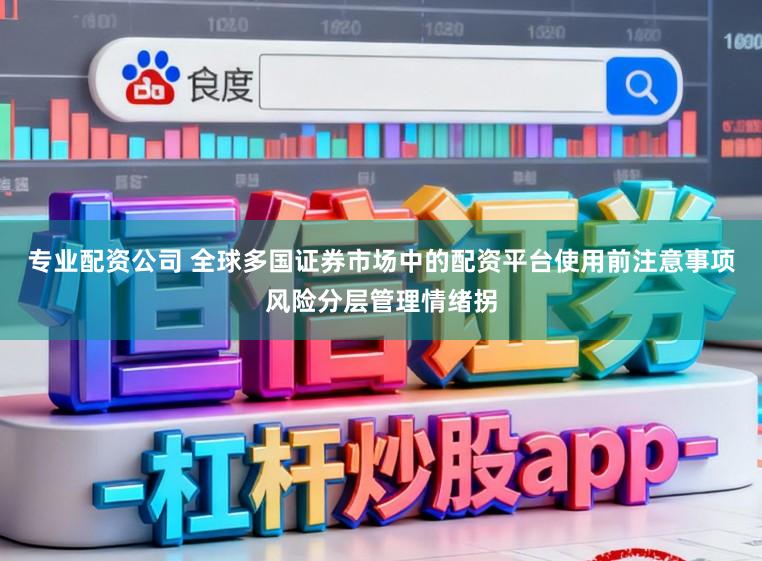 专业配资公司 全球多国证券市场中的配资平台使用前注意事项风险分层管理情绪拐