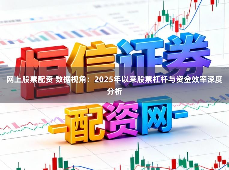 网上股票配资 数据视角：2025年以来股票杠杆与资金效率深度分析